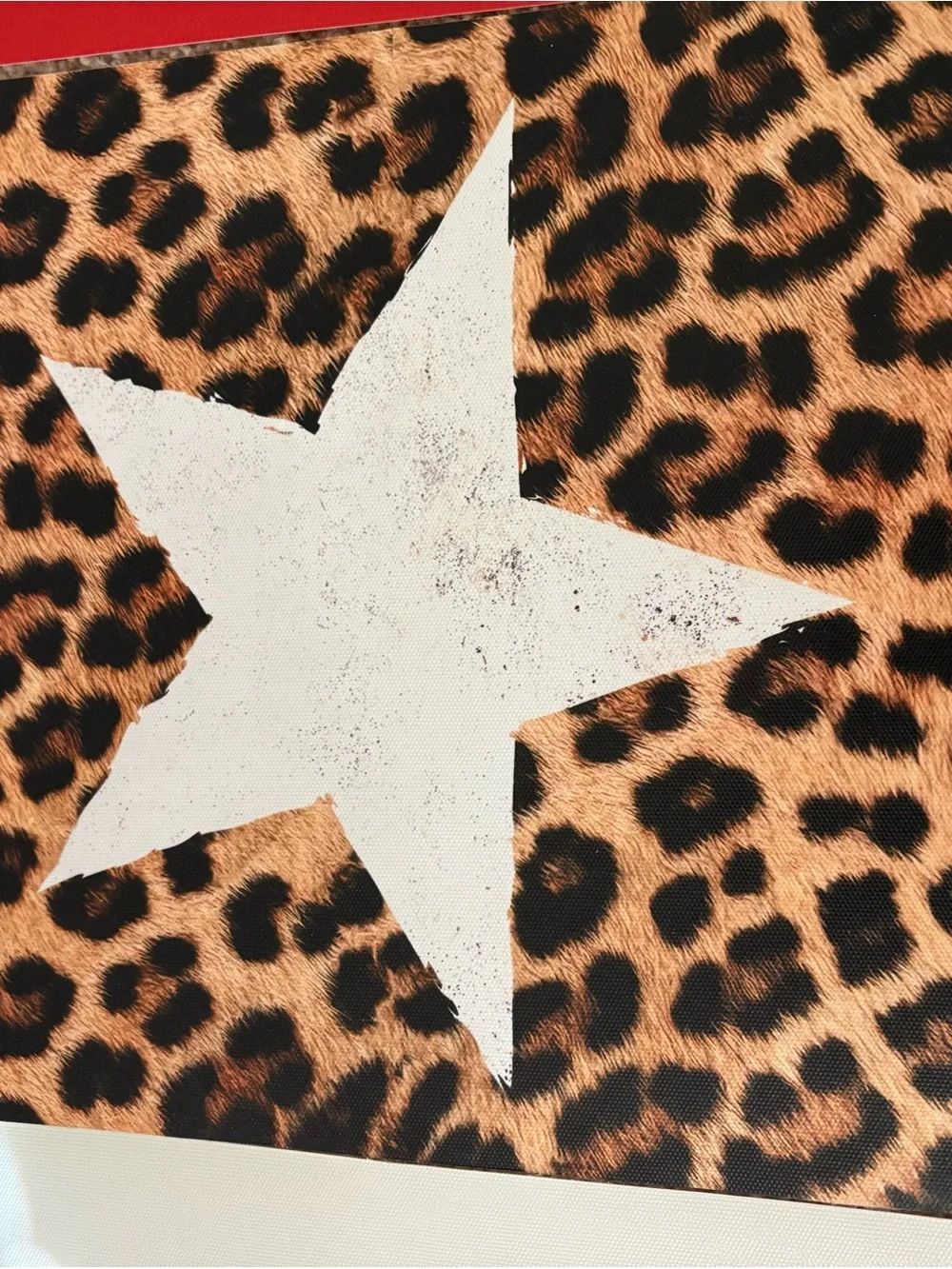 Red Leopard & Lip Art Wall Decor Set - Unbranded